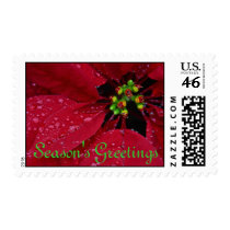 Poinsettia Season's Greetings Postage postage