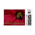 Poinsettia Season's Greetings Postage postage by SweetRascal Poinsettia Season's Greetings Postage postage