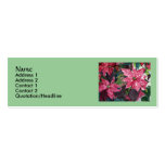 Poinsettia Slim Business Cards