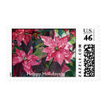 Poinsettia stamp