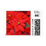 Poinsettia Stamp