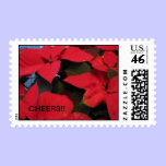 Poinsettia stamp stamps
