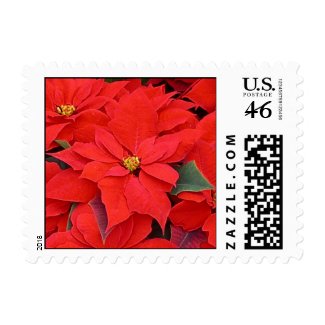 Poinsettia Stamp stamp