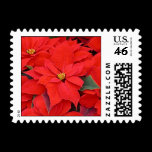 Poinsettia Stamp
