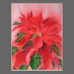 Poinsettia © yoshiko mishina postcards