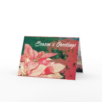 poinsettias cards
