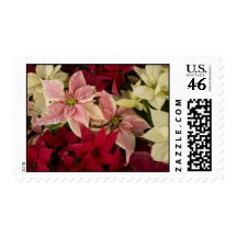 Poinsettias Holiday Postage Stamps
