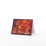 poinsettias, multi-language christmas card