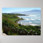 Point Kean, Kaikoura, New Zealand posters