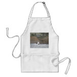 Point Lobos aprons