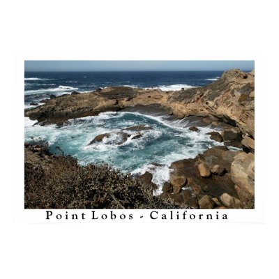 Point Lobos - California Poster by imagemosaic