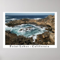 Point Lobos - California Poster