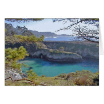 Point Lobos cards