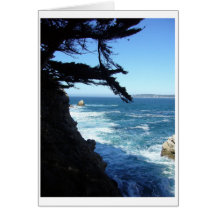 Point Lobos Cards