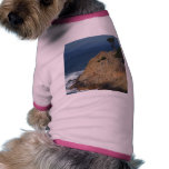 Point Lobos Dog Clothes