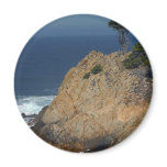 Point Lobos Fridge Magnet