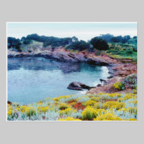 Point Lobos postcards