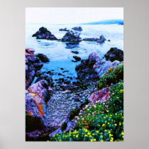 Point Lobos rocky beach Posters