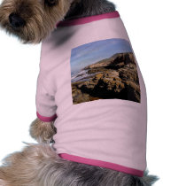 Point Loma Tide Pools Ocean Waves Beach pet clothing by lifesphere Point Loma Tide Pools Ocean Waves Beach pet clothing