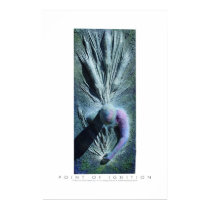 point of ignition poster posters