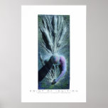 point of ignition poster
