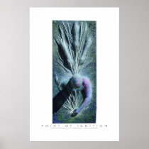 point of ignition poster