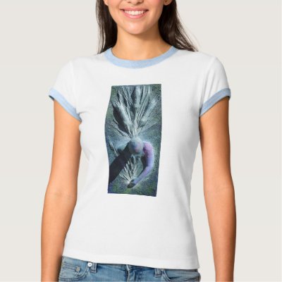 Point of Ignition Shirt by threesalamanders