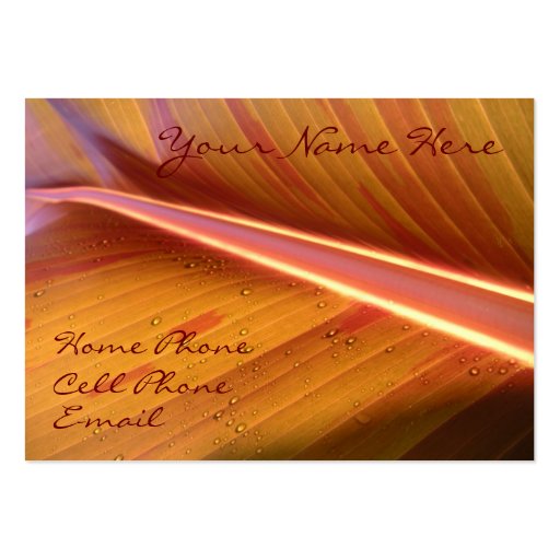Point of Light Profile Card Business Cards (front side)