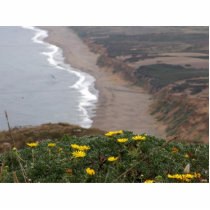 Point Reyes National Seashore photo sculptures
