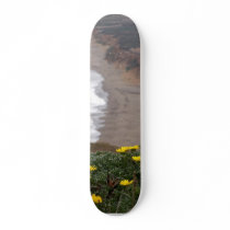 Point Reyes National Seashore skateboards