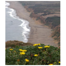 Point Reyes National Seashore t-shirts by lifesphere Point Reyes National Seashore t-shirts