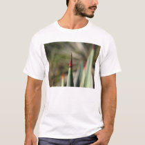 point t-shirts