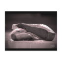 Pointe Shoes postcards
