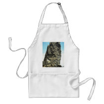 Pointed rock detail, Bartolome Island, Galapagos I Apron