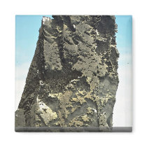 Pointed rock detail, Bartolome Island, Galapagos I Refrigerator Magnet