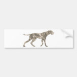 Pointer Bumper Stickers