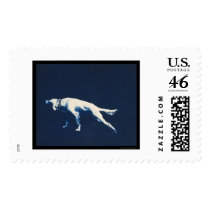 Pointer Dog 1902 postage by lc_vintagephotos Pointer Dog 1902 postage