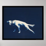 Pointer Dog 1902 Posters