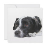 Pointer Dog Invitation