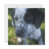 Pointer Dog Invitation