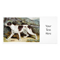 Pointer Dog Water color Photo Card Template