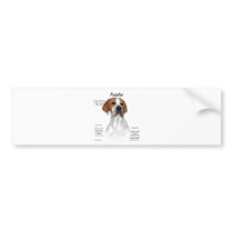 Pointer History Design bumper stickers