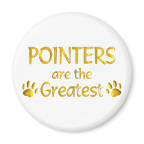 Pointer magnets