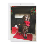 pointer near christmas fireplace custom invitation