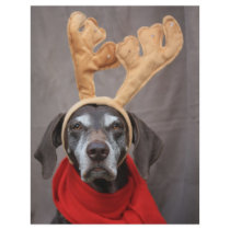 pointer reindeer flyers