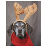 pointer reindeer customized letterhead