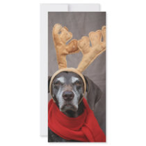 pointer reindeer rack cards