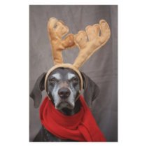 pointer reindeer stationery