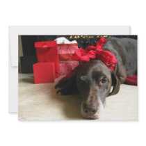 pointer waiting for santa personalized invitation