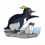 Pointing Penguins Acrylic Cut Outs